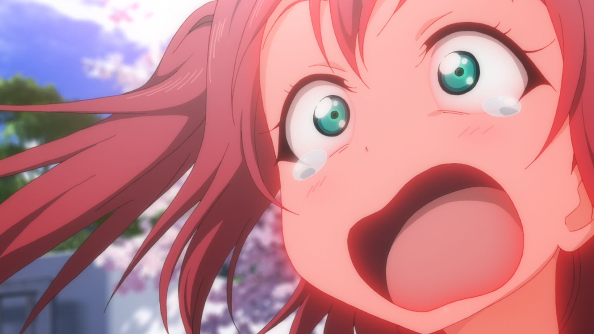 Love Live! Sunshine!! (Hakoniwa, Yashiro Subs)